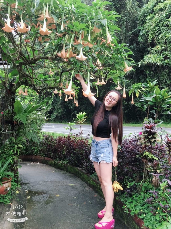 离异单身无子的第二张照片--泉州相亲服务中心
