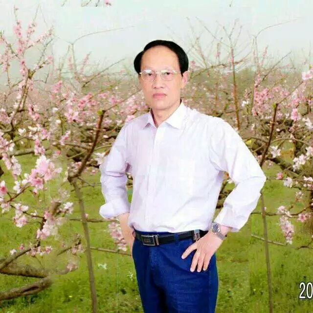 枫叶的第一张照片--泉州相亲服务中心